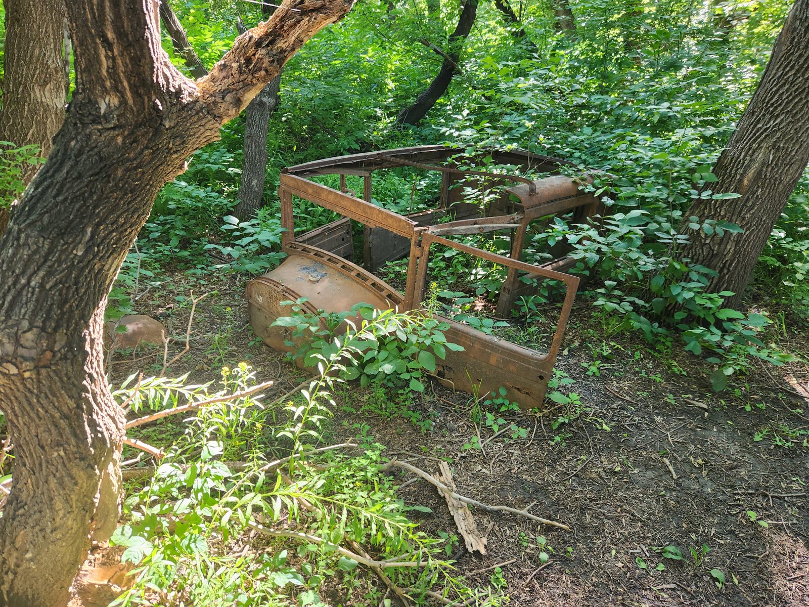 An old car that has been almost completely covered up by mother nature