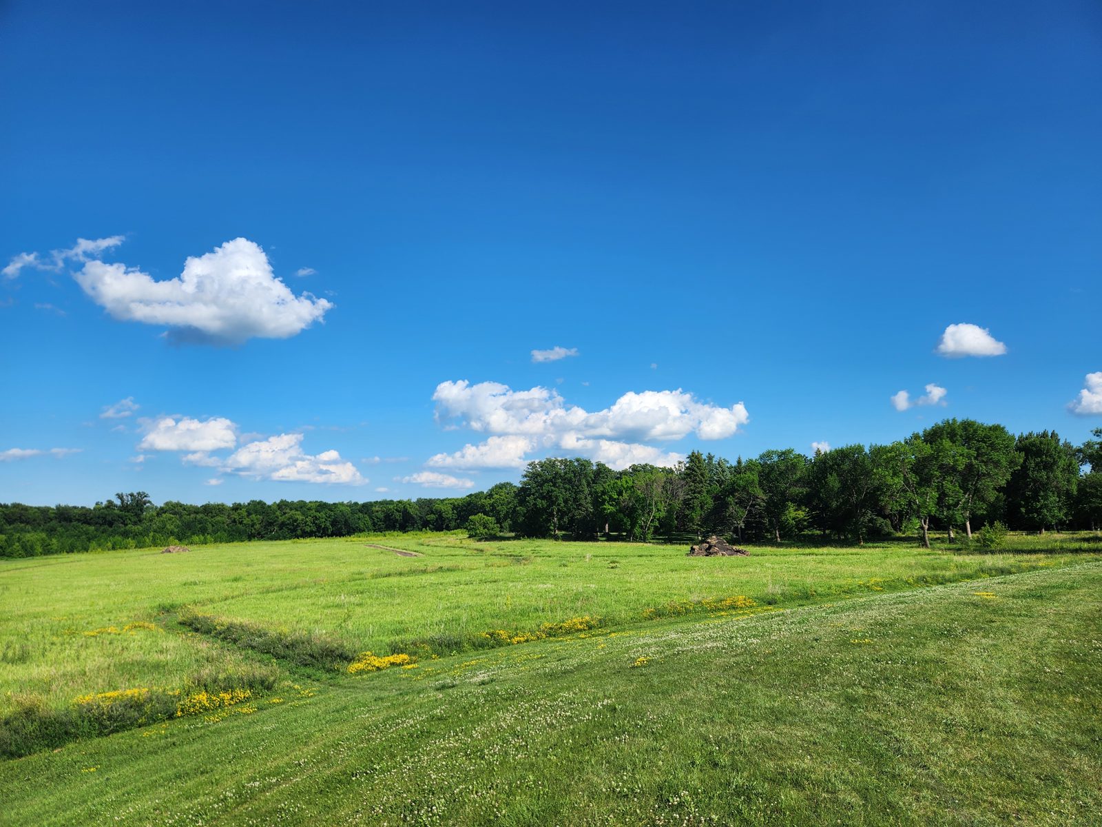 A beautiful lookout point of the Prairie